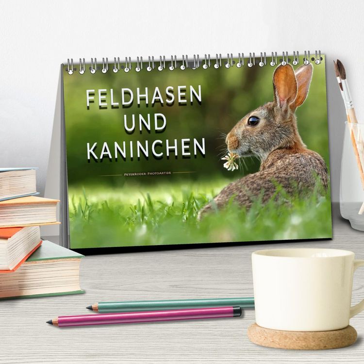 Produktbild: Feldhasen und Kaninchen (Tischkalender 2026 DIN A5 quer), CALVENDO Monatskalender