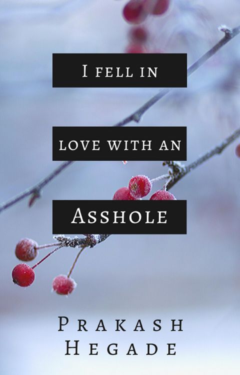 Produktbild: I Fell in Love with an Asshole