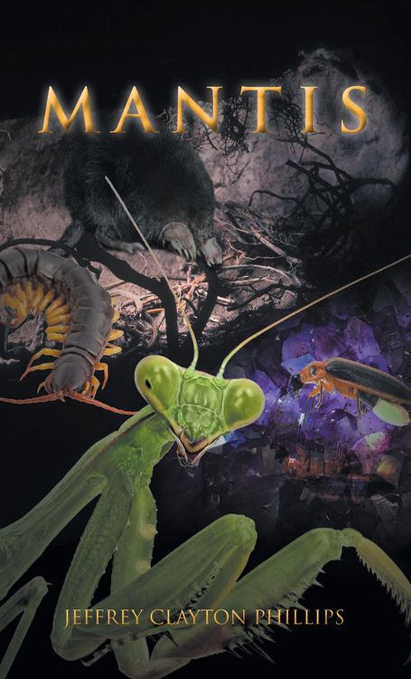 Produktbild: Mantis