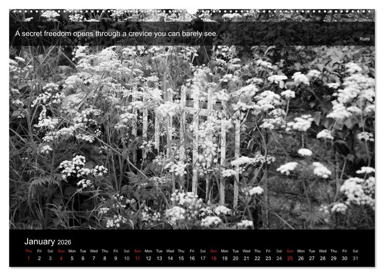 Produktbild: Through the Gate with Rumi (High Quality Premium Wall Calendar 2026 DIN A2 landscape),CALVENDO 12 Month Wall Calendar