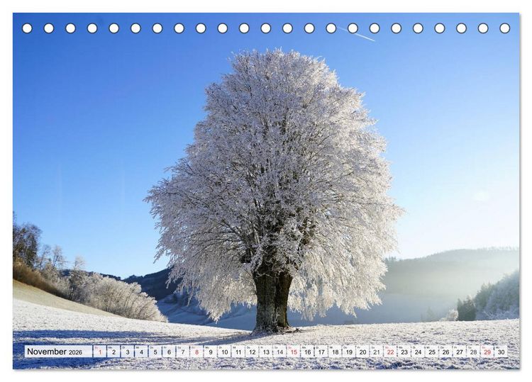 Produktbild: Winter. Zauberhafte Schneelandschaften (Tischkalender 2026 DIN A5 quer), CALVENDO Monatskalender