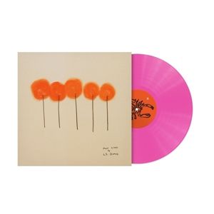 Produktbild: Past Lives (Vinyl)