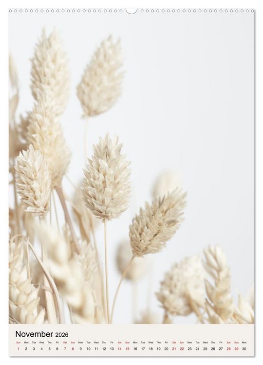Produktbild: Dried Flowers (Wall Calendar 2026 DIN A2 portrait), CALVENDO 12 Month Wall Calendar