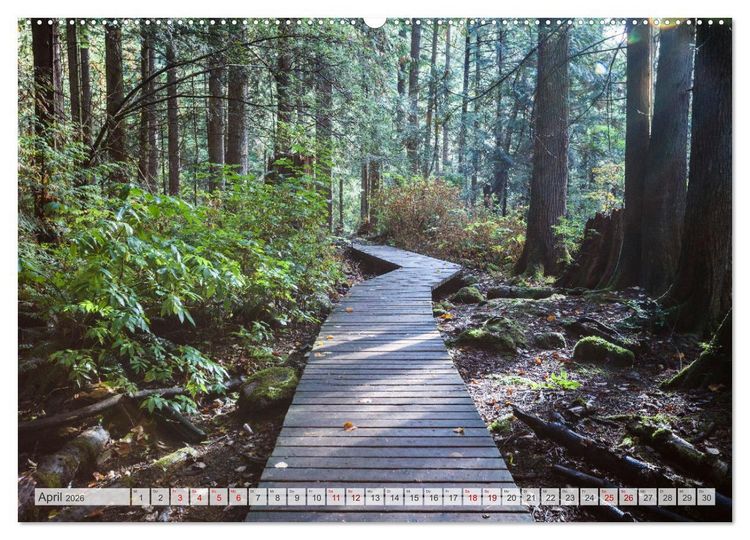 Produktbild: W&auml;lder der Welt (hochwertiger Premium Wandkalender 2026 DIN A2 quer), Kunstdruck in Hochglanz