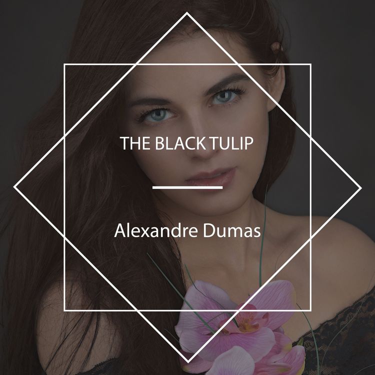 Produktbild: The Black Tulip