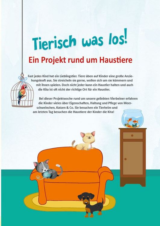 Produktbild: Muss ein Pony eigentlich zum Friseur?