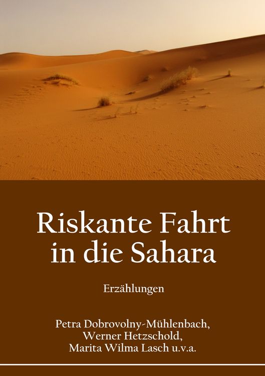 Produktbild: Riskante Fahrt in die Sahara