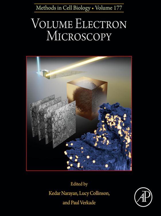 Produktbild: Volume Electron Microscopy