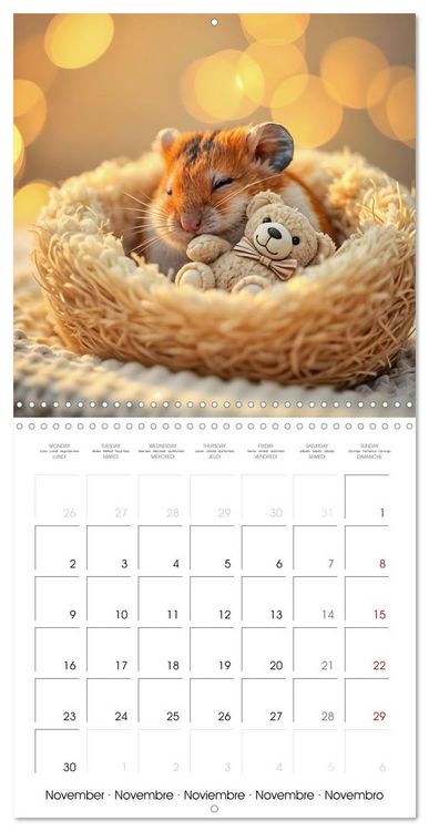 Produktbild: Small paws and great playfulness (Wall Calendar 2026 12 &times; 12 Inch) CALVENDO 12 Month Wall Calendar