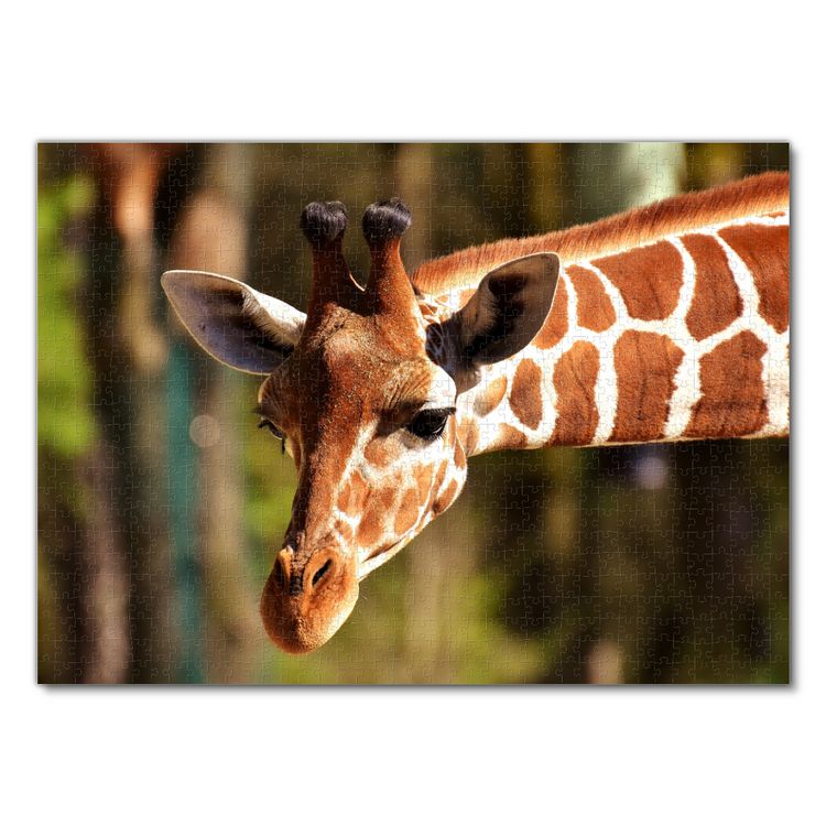 Produktbild: Lais Puzzle Giraffe 1000 Teile