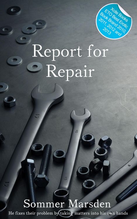 Produktbild: Report for Repair