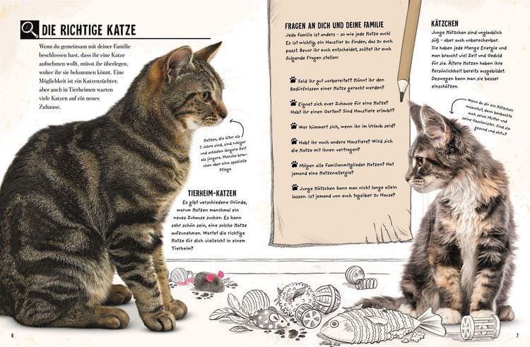 Produktbild: Meine Katze