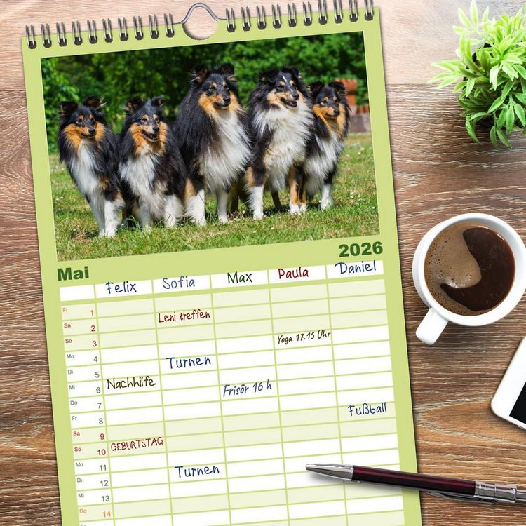 Produktbild: Familienplaner 2026 - Traumhund Sheltie mit 5 Spalten (Wandkalender, 21 x 45 cm) CALVENDO