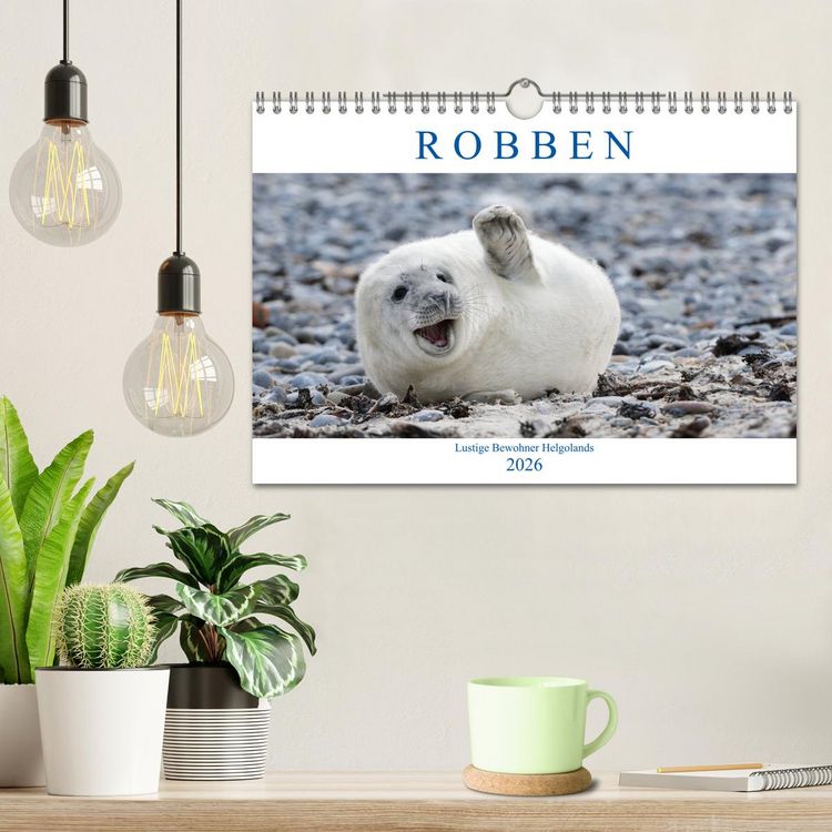 Produktbild: Robben - Lustige Bewohner Helgolands (Wandkalender 2026 DIN A4 quer), CALVENDO Monatskalender