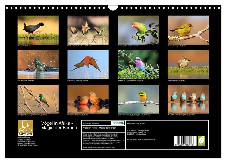 Produktbild: V&ouml;gel in Afrika - Magie der Farben (Wandkalender 2027 DIN A3 quer), CALVENDO Monatskalender