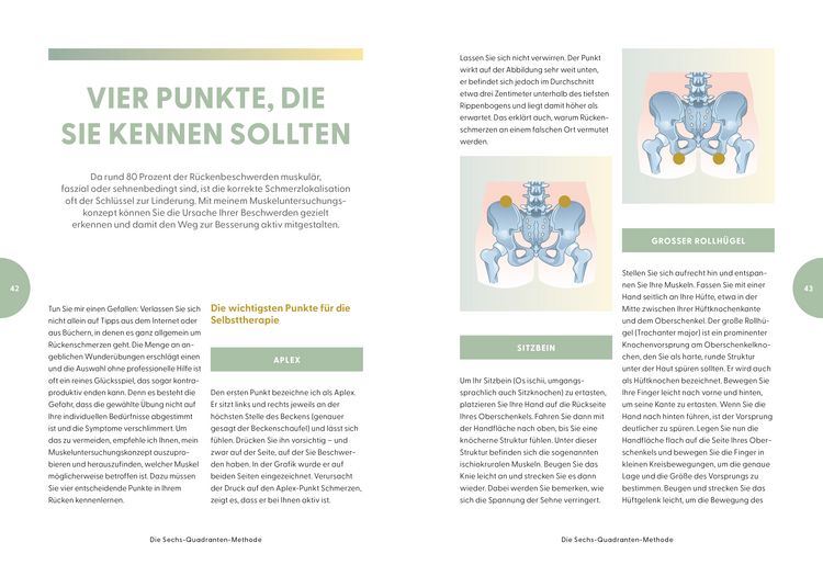 Produktbild: Die R&uuml;ckenrevolution