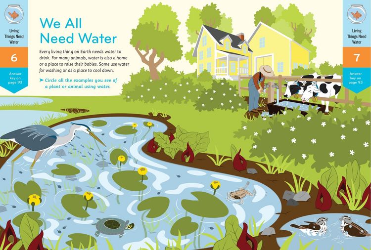 Produktbild: Nature Smarts Workbook: All about Water (Ages 4-6)