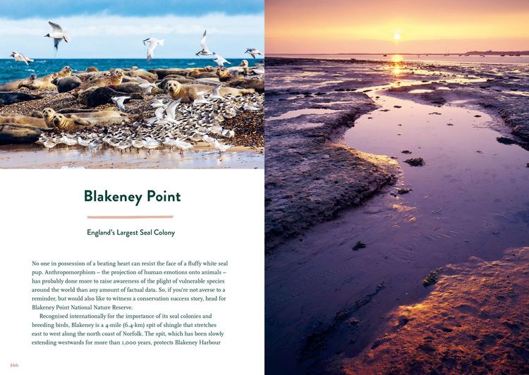 Produktbild: The Nature Lover's Bucket List