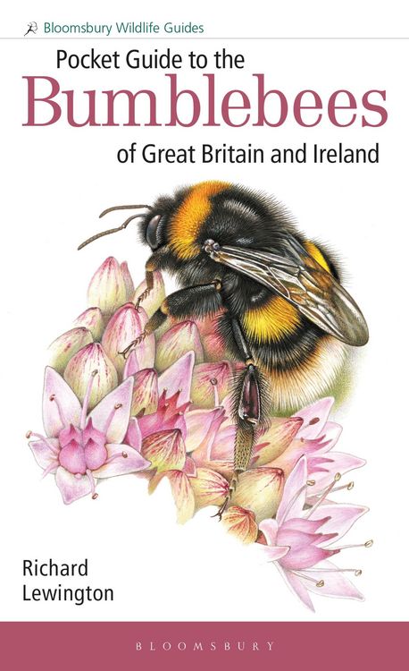 Produktbild: Pocket Guide to the Bumblebees of Great Britain and Ireland