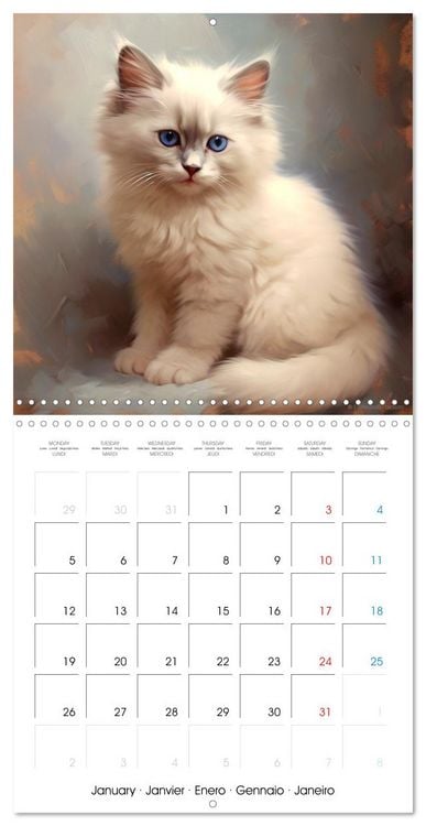 Produktbild: Illustrations Chatons (Calendrier mural carr&eacute; 2026 30x30 cm) Calendrier double avec une page pour vos prises de notes