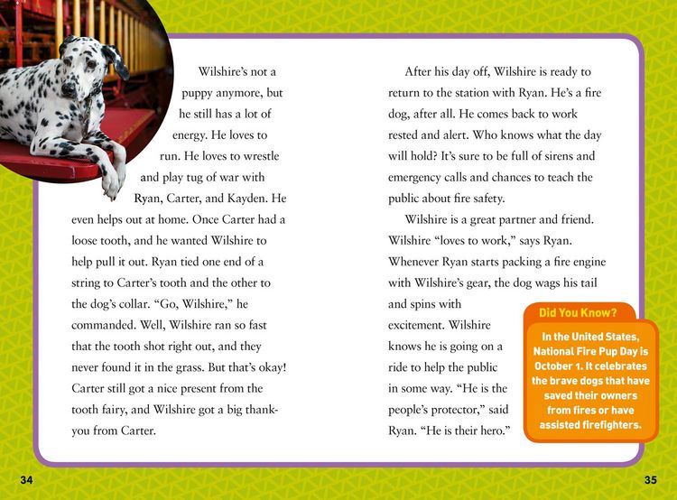 Produktbild: National Geographic Kids Chapters: Hero Dogs!
