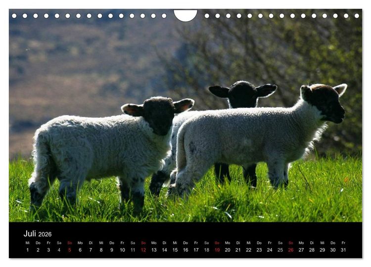 Produktbild: Irland County Cork (Wandkalender 2026 DIN A4 quer), CALVENDO Monatskalender