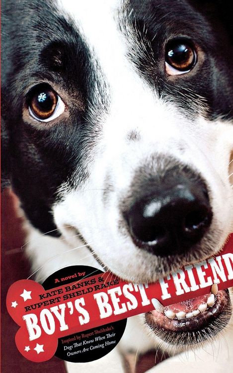 Produktbild: Boy's Best Friend