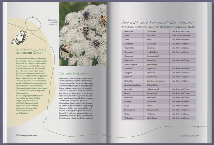 Produktbild: Streifzug durch den Garten