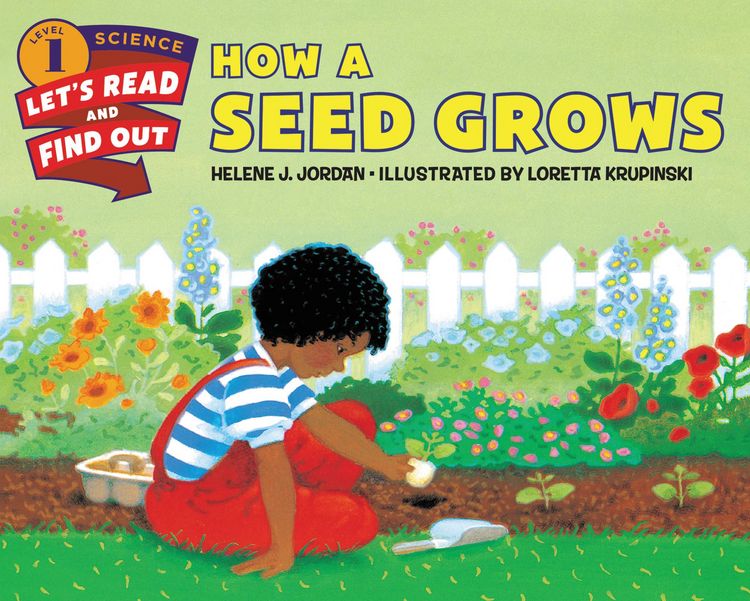 Produktbild: How a Seed Grows