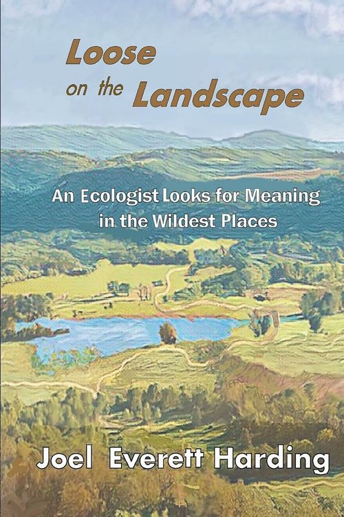 Produktbild: Loose on the Landscape