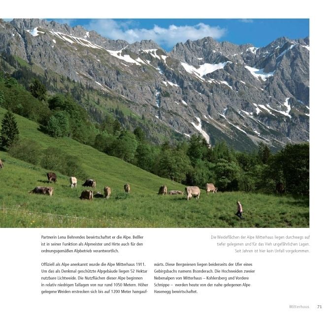 Produktbild: K&uuml;he. Menschen. Berge.