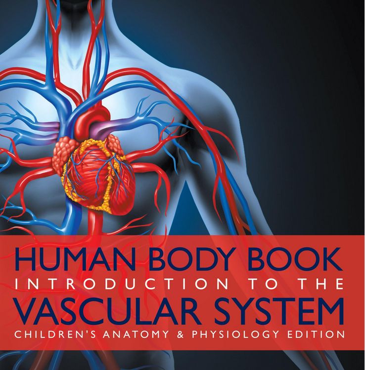 Produktbild: Human Body Book | Introduction to the Vascular System | Children's Anatomy & Physiology Edition