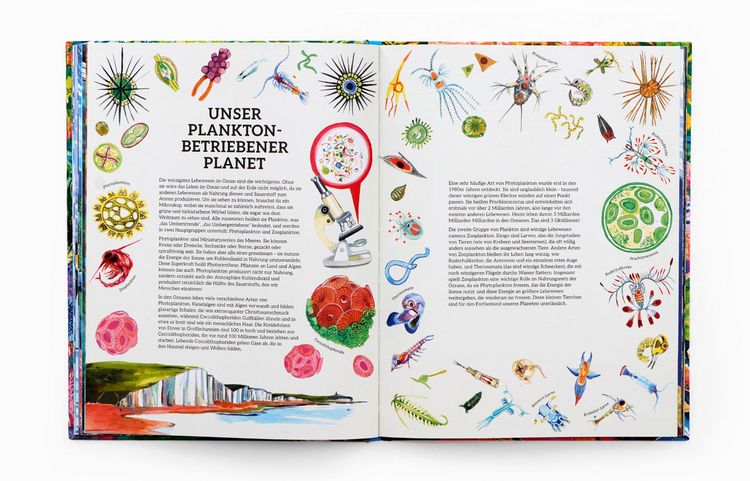 Produktbild: Ozeanopedia