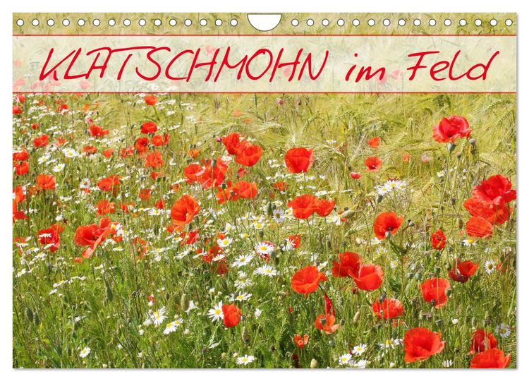 Produktbild: Klatschmohn im Feld (Wandkalender 2026 DIN A4 quer), CALVENDO Monatskalender