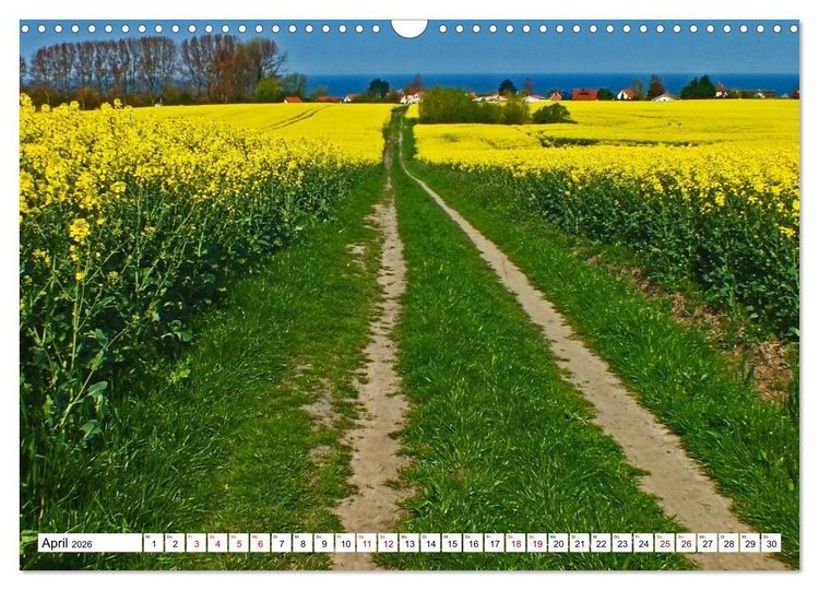 Produktbild: Ostseeinsel Poel - K&uuml;stenimpressionen (Wandkalender 2026 DIN A3 quer), CALVENDO Monatskalender