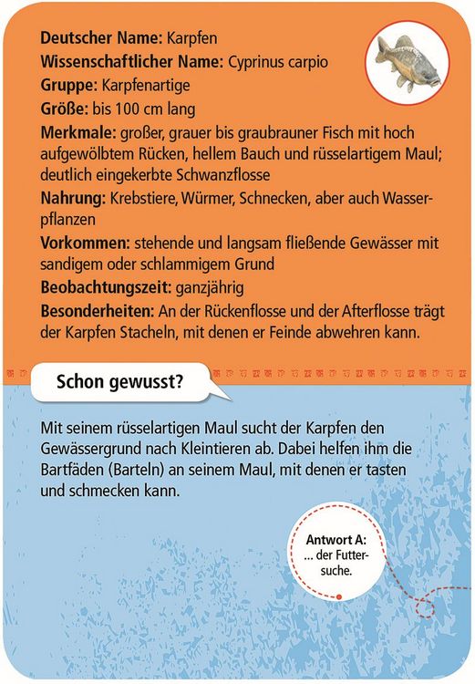 Produktbild: Expedition Natur - 50 heimische Tiere & Pflanzen an Bach & Teich