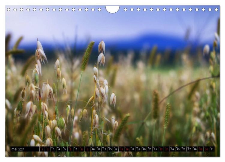 Produktbild: Paysages du Qu&eacute;bec (Calendrier mural 2027 DIN A4 vertical), CALVENDO calendrier mensuel