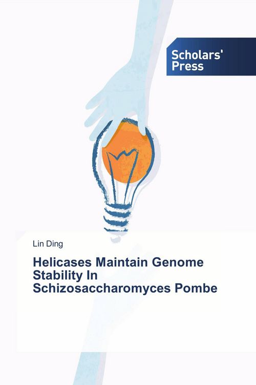 Produktbild: Helicases Maintain Genome Stability In Schizosaccharomyces Pombe