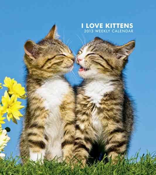 Produktbild: Kittens 2013 Calendar