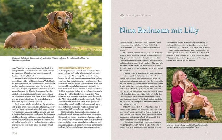 Produktbild: Hundesenioren mit Martin R&uuml;tter