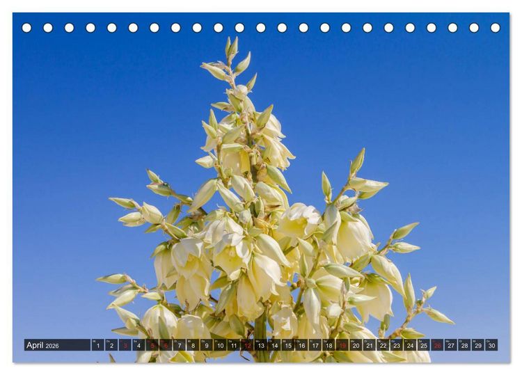 Produktbild: WHITE SANDS Die wei&szlig;e W&uuml;ste in New Mexico (Tischkalender 2026 DIN A5 quer), CALVENDO Monatskalender