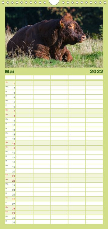 Produktbild: Ein Herz f&uuml;r Rinder - Familienplaner hoch (Wandkalender 2022 , 21 cm x 45 cm, hoch)
