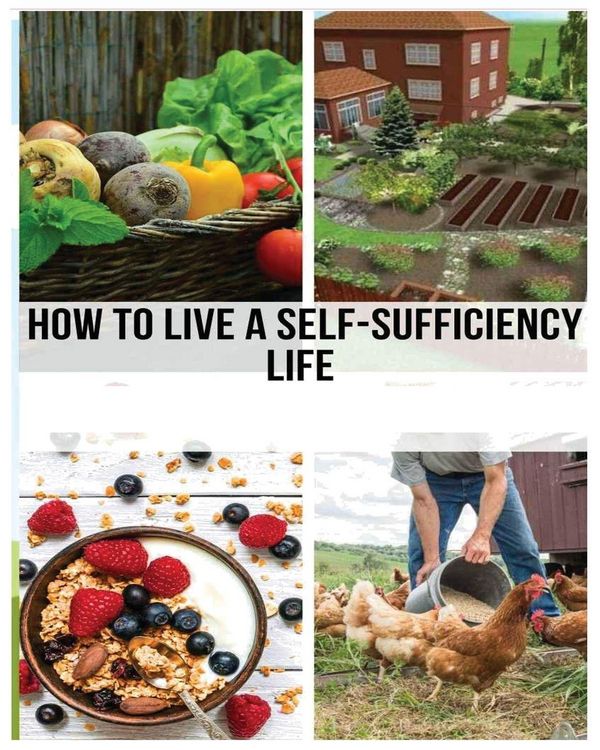 Produktbild: Mastering the Self-Sufficient Life