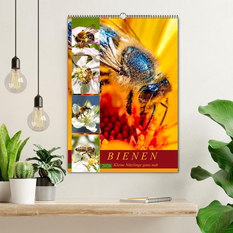 Produktbild: BIENEN - Kleine N&uuml;tzlinge ganz nah (Wandkalender 2026 DIN A2 hoch), CALVENDO Monatskalender