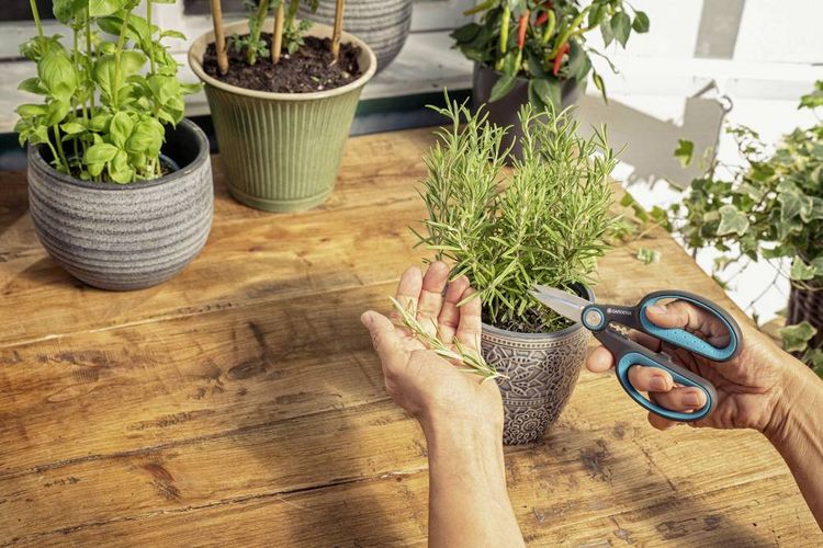 Produktbild: GARDENA 12214-20 HerbCut Gartenschere