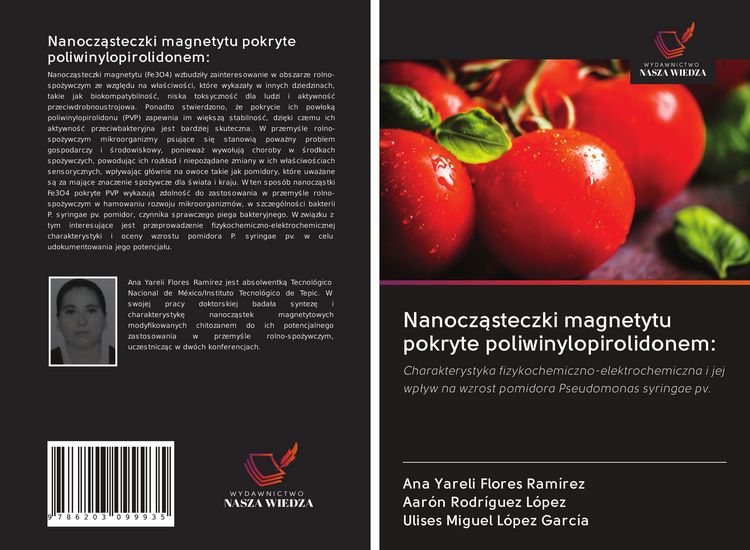 Produktbild: Nanocz&iquest;steczki magnetytu pokryte poliwinylopirolidonem: