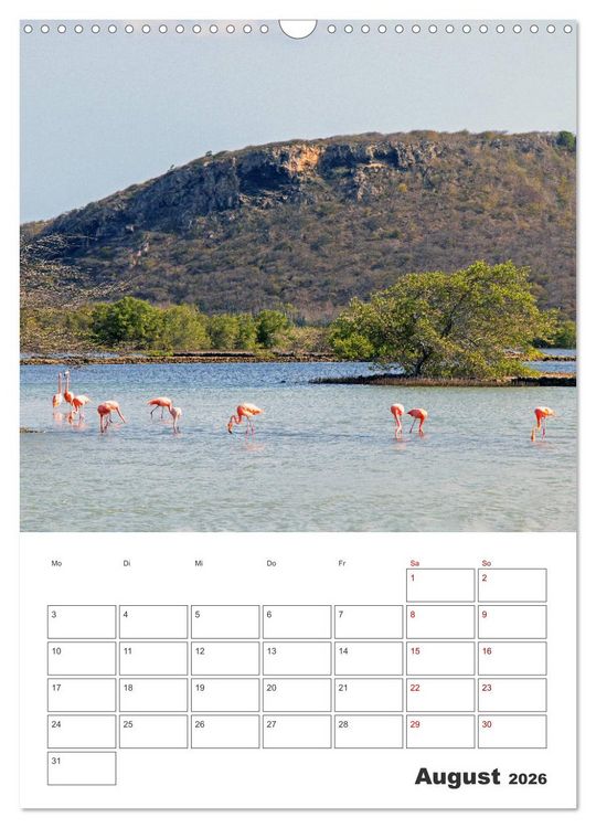 Produktbild: Curacao - Terminplaner (Wandkalender 2026 DIN A3 hoch), CALVENDO Monatskalender