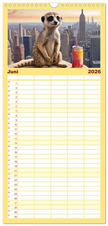 Produktbild: Familienplaner 2026 - Erdm&auml;nnchen in New York City mit 5 Spalten (Wandkalender, 21 x 45 cm) CALVENDO