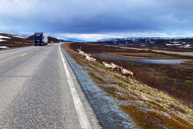 Produktbild: Abenteuer Norwegen