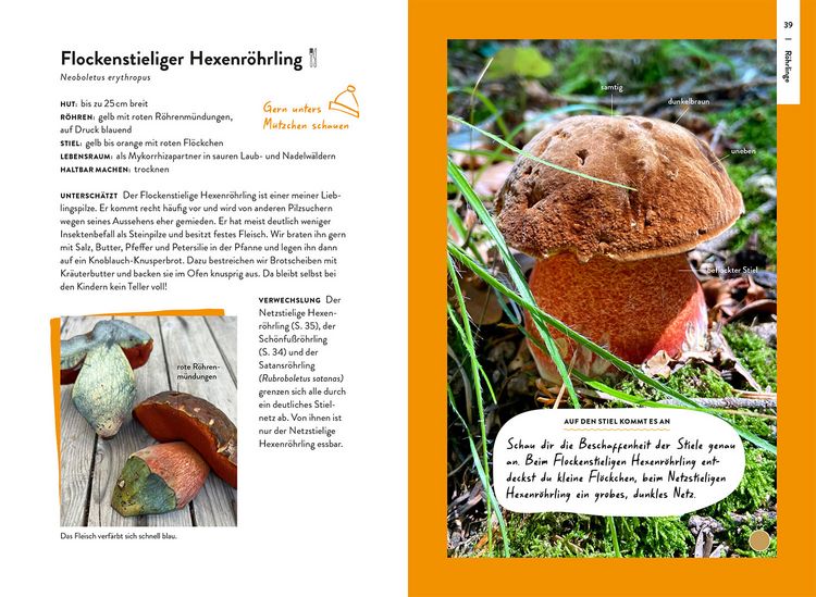 Produktbild: Nature Guide Pilze